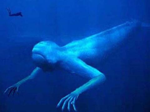 南极洲拍摄到30公尺高巨型人类