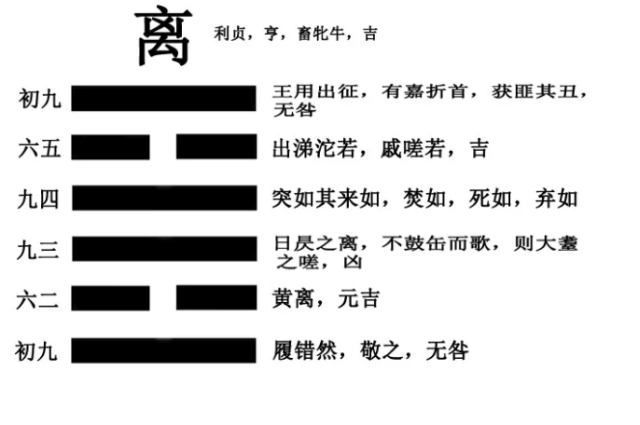 什么是真正的坚强?看看《易经》中的离卦!