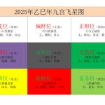 2025年乙巳蛇年二黑入中宫五黄进东北, 九宫飞星图及国家地理经济形势