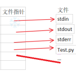 什么是进程的文件描述符（File Descriptors）？