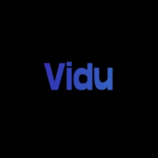 VIDU 短视频