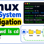 Linux 文件系统导航命令 – 详解 pwd、ls 和 cd