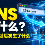什么是 DNS？输入网址后，电脑如何找到网站？